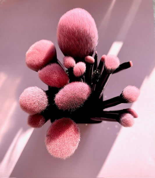 18 Makeup Brushes with Brush Holder - Black and Pink
